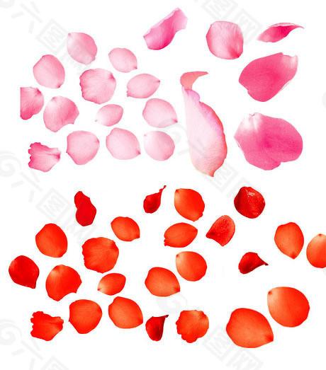 配资开户 借力注册制改革，科创板引领中国股市信披制度“升级”