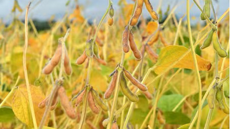 配资炒股中心 全国首例上市公司董监高违反公开承诺案赔偿款已全额支付