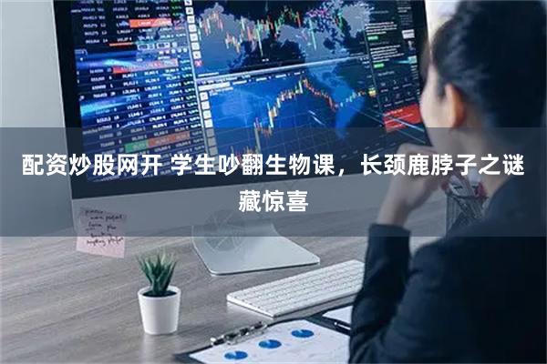 配资炒股网开 学生吵翻生物课，长颈鹿脖子之谜藏惊喜