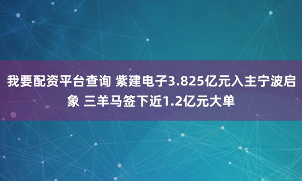我要配资平台查询 紫建电子3.825亿元入主宁波启象 三羊马签下近1.2亿元大单