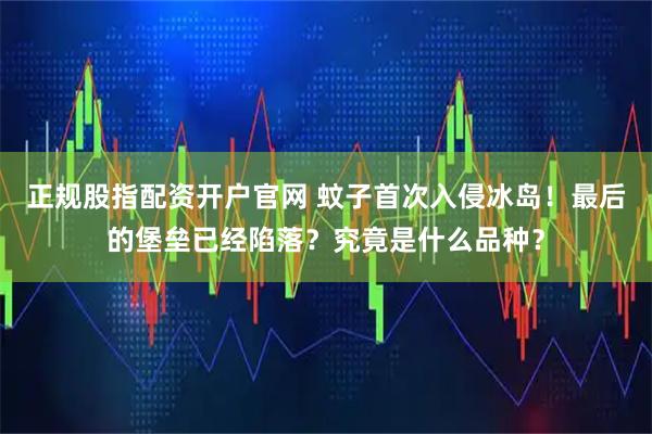 正规股指配资开户官网 蚊子首次入侵冰岛！最后的堡垒已经陷落？究竟是什么品种？